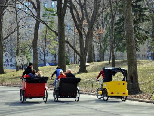 Central Park Pedicab Tour 