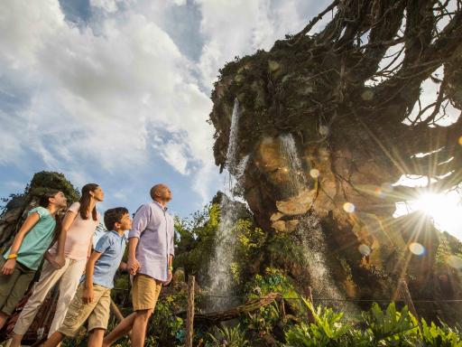 Avatar at Disney's Animal Kingdom Theme Park