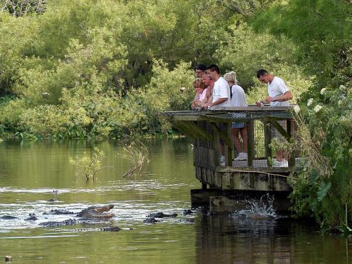 Gatorland Orlando