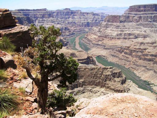 Grand Canyon West Rim Classic Jeep Tour 