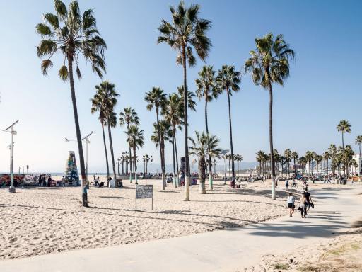 L.A. City, Movie Stars&#039; Homes &amp; Beach Tour 