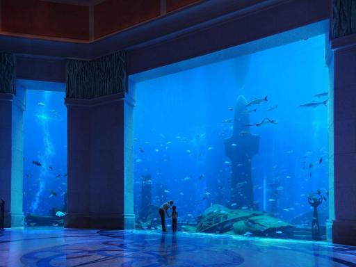 The Lost Chambers at Atlantis The Palm 