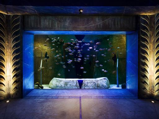 The Lost Chambers at Atlantis The Palm 