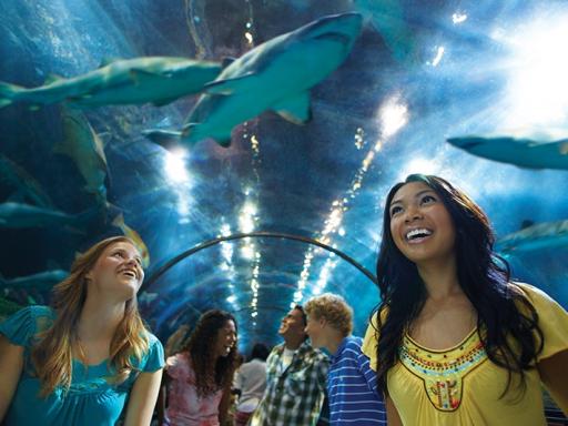 SeaWorld® San Diego Tickets 