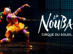 5 razões para ver Cirque du Soleil La Nouba 
