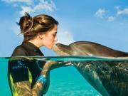 Nado com Golfinhos no Atlantis The Palm