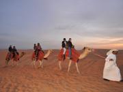 Safari Privativo no Deserto com Surfe de Areia e Passeio de Camelo
