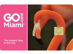 Ingresso Cartão Go Miami Card